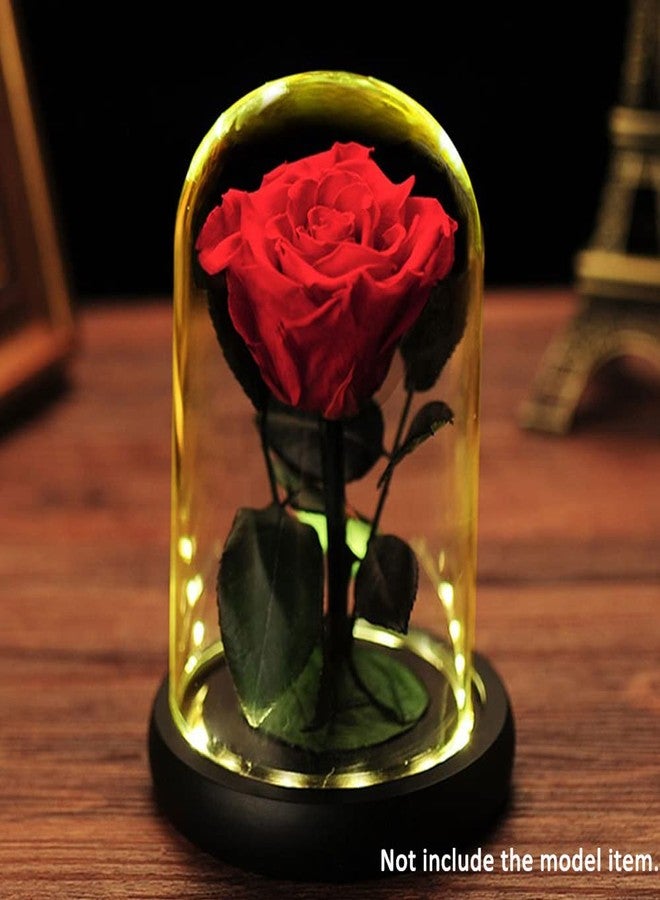 DuvinDD Glass Dome Cloche with LED Light Base Countertop Small Bell Jar Display Dome Clear Glass Display Case Deco, 4.33" D X 4.7" H, Gifts for Women - Image 3